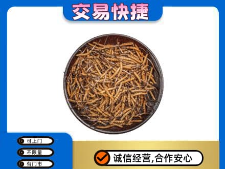 伊春乌翠区回收散虫草